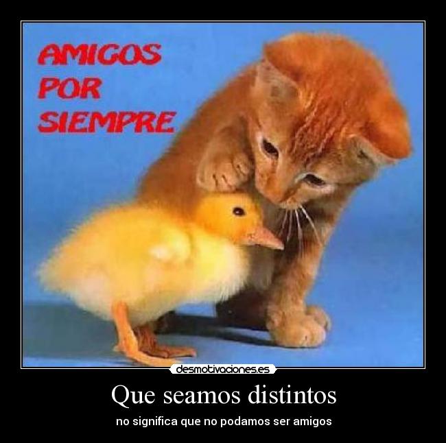Que seamos distintos -