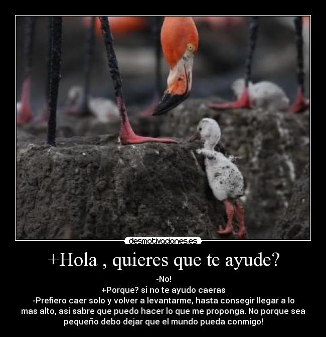 +Hola , quieres que te ayude? - 