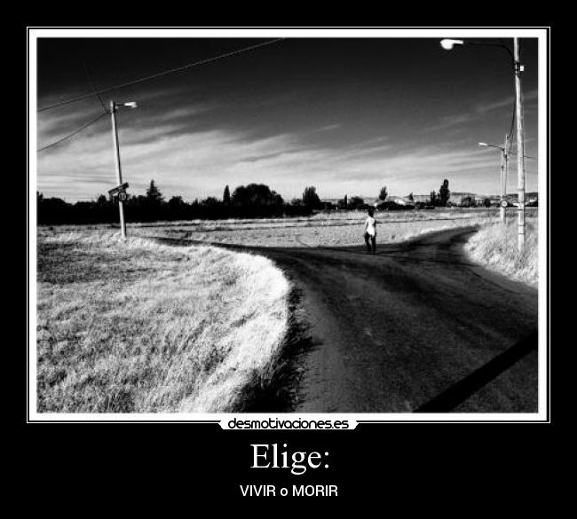 Elige: - 