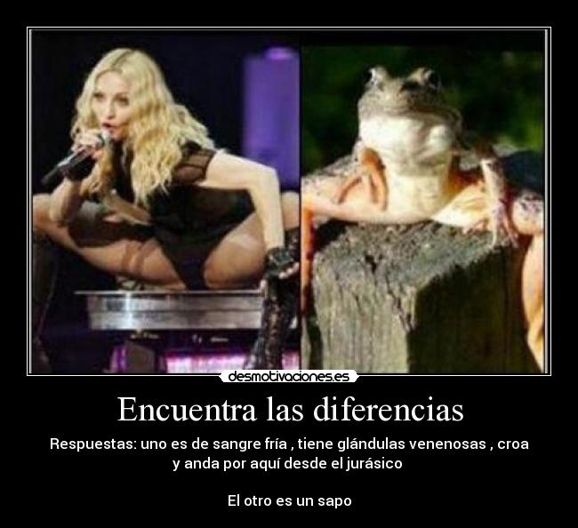 Encuentra las diferencias - 
