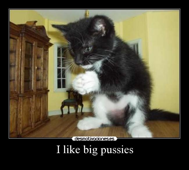 I like big pussies - 