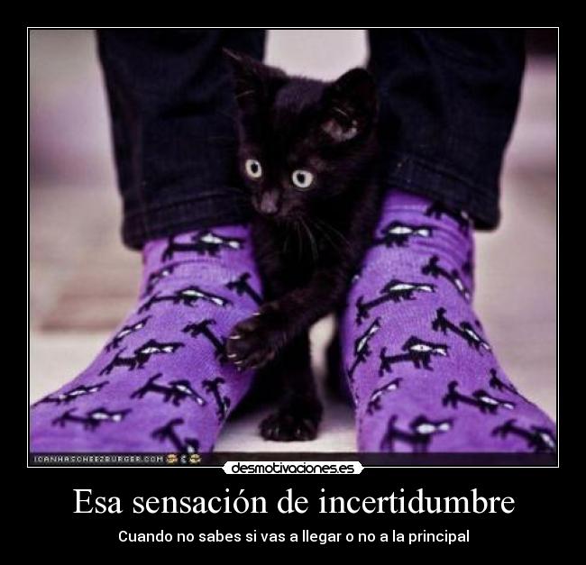 Esa sensación de incertidumbre - Cuando no sabes si vas a llegar o no a la principal
