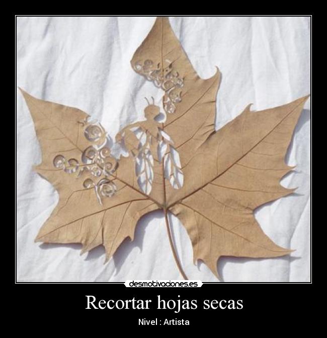 Recortar hojas secas -