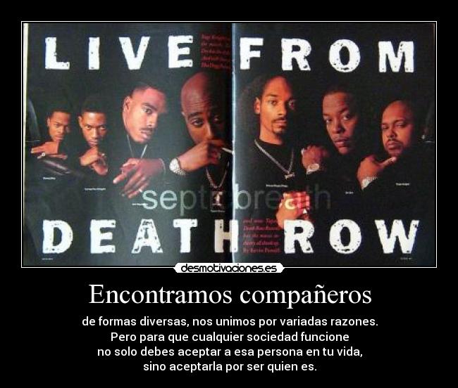 Encontramos compañeros -