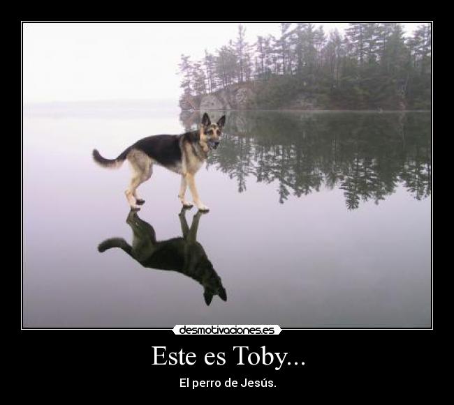 Este es Toby... -
