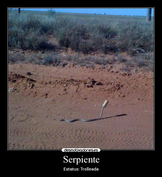 Serpiente - Estatus: Trolleada