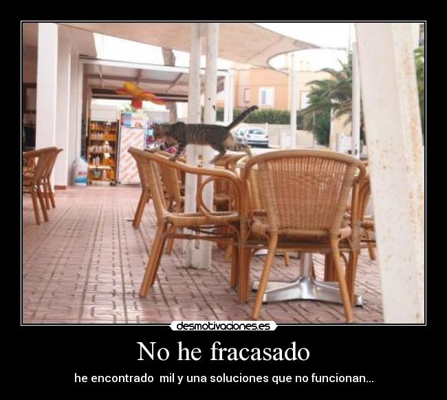No he fracasado - 