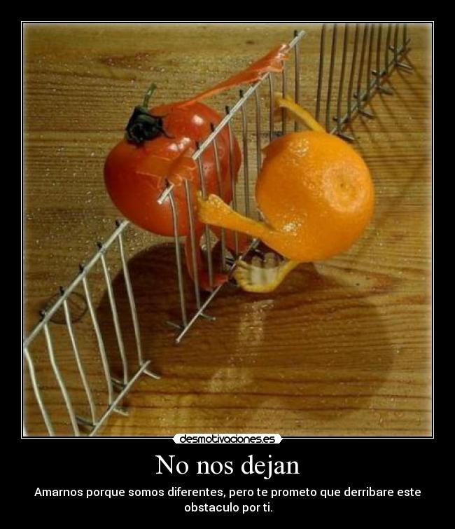 carteles amor diferencia raza desmotivaciones