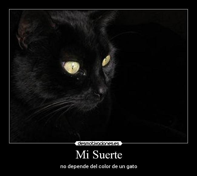 Mi Suerte -