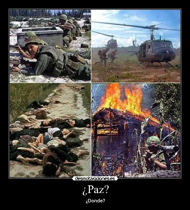 carteles paz desmotivaciones