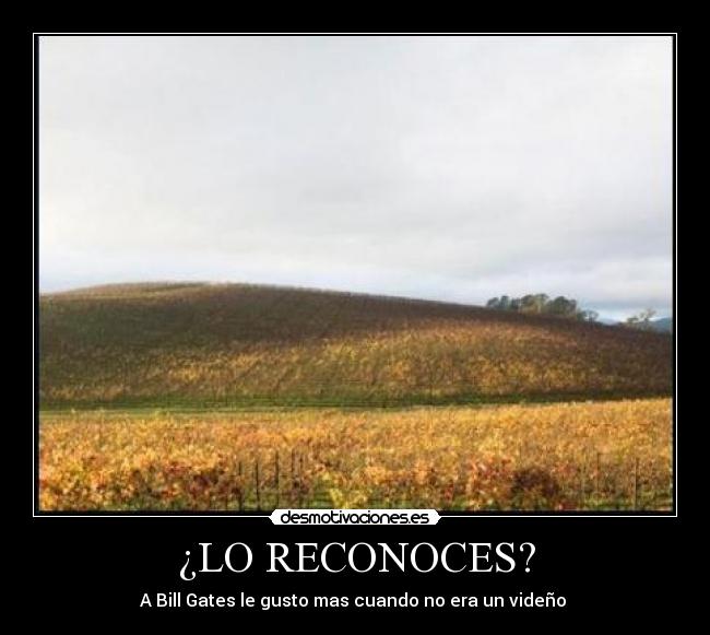¿LO RECONOCES? -