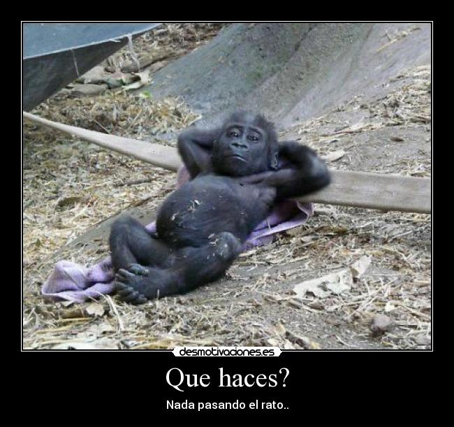 Que haces? -