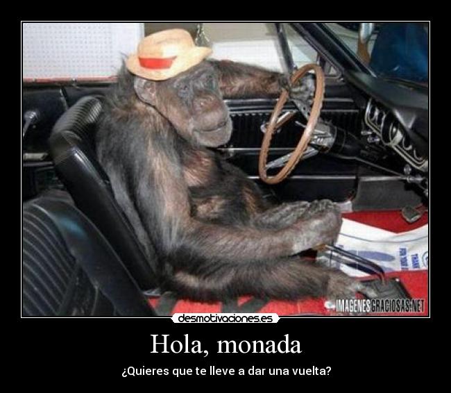 Hola, monada - ¿Quieres que te lleve a dar una vuelta?