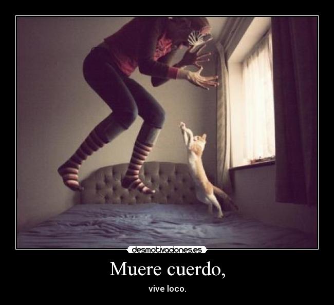 carteles muere vive cuelro loco locura desmotivaciones