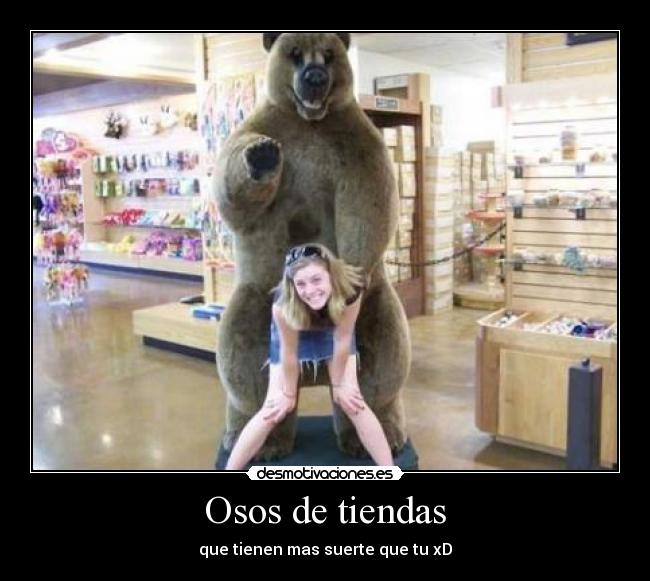 Osos de tiendas - que tienen mas suerte que tu xD