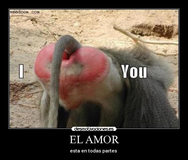 EL AMOR -