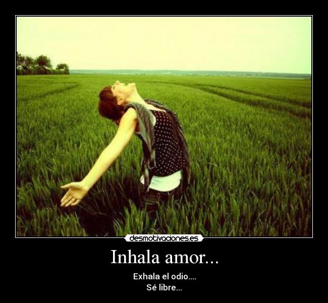 Inhala amor... - Exhala el odio....
Sé libre...♥