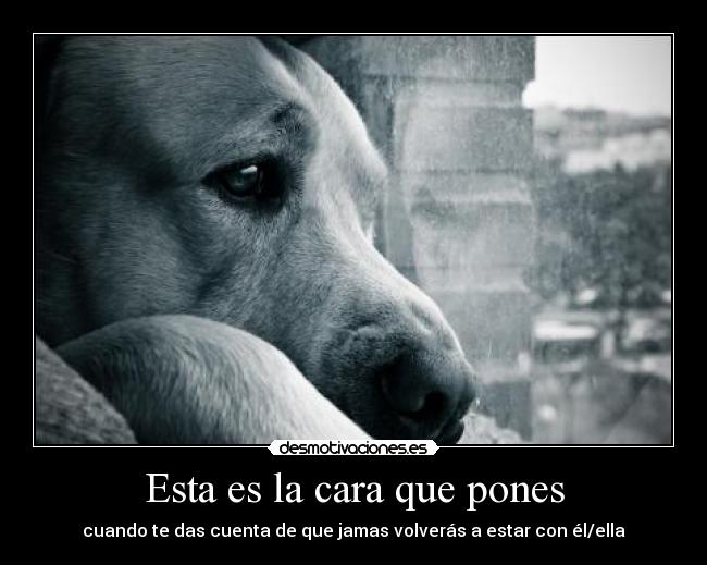 Esta es la cara que pones -