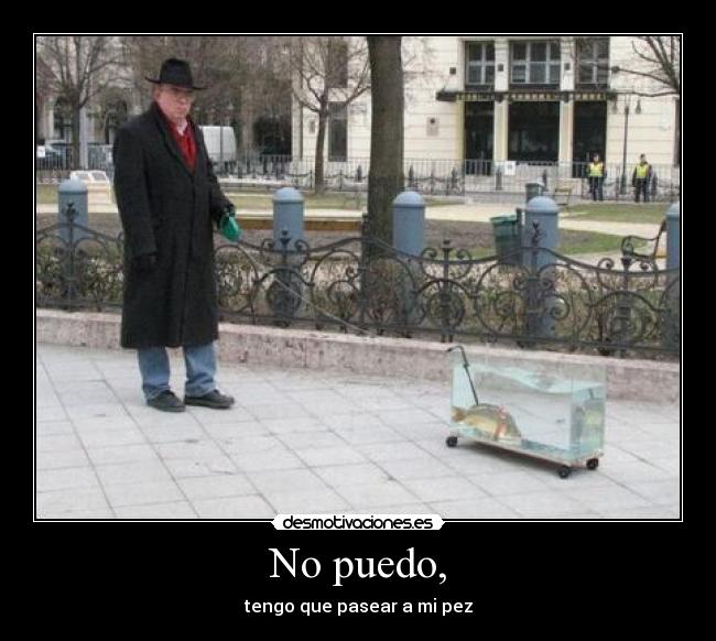 No puedo, - tengo que pasear a mi pez