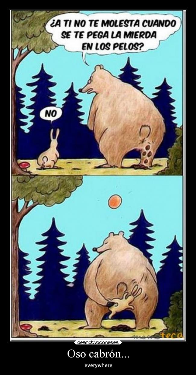 Oso cabrón... -