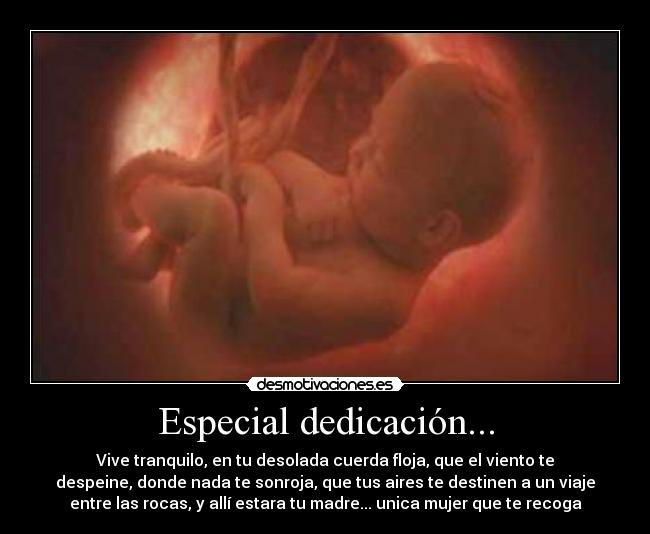 Especial dedicación... - Vive tranquilo, en tu desolada cuerda floja, que el viento te
despeine, donde nada te sonroja, que tus aires te destinen a un viaje
entre las rocas, y allí estara tu madre... unica mujer que te recoga