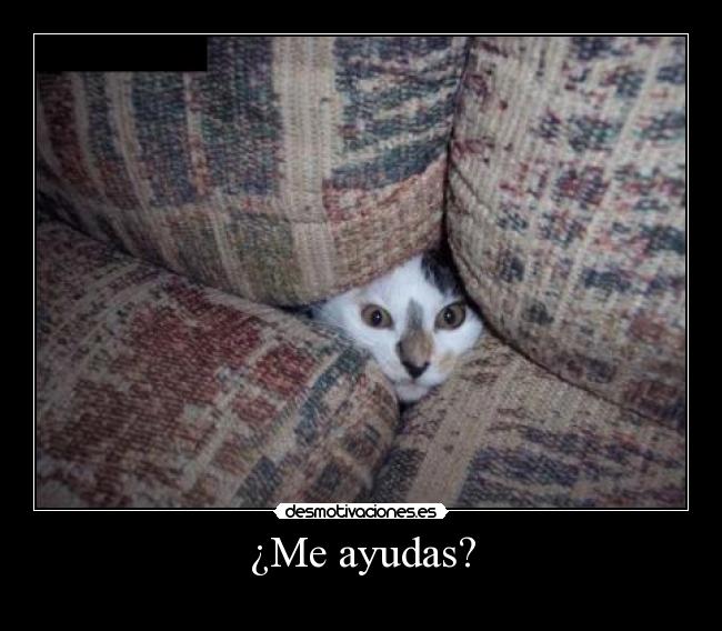 ¿Me ayudas? -