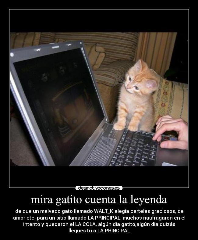 mira gatito cuenta la leyenda - de que un malvado gato llamado WALT_K elegía carteles graciosos, de
amor etc, para un sitio llamado LA PRINCIPAL, muchos naufragaron en el
intento y quedaron el LA COLA, algún día gatito,algún dia quizás
llegues tú a LA PRINCIPAL