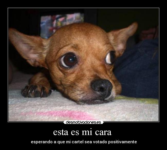 esta es mi cara - esperando a que mi cartel sea votado positivamente