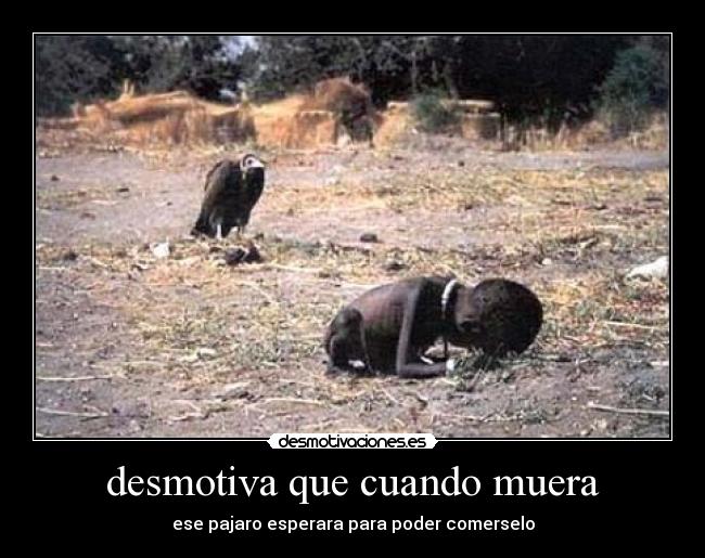 desmotiva que cuando muera - ese pajaro esperara para poder comerselo