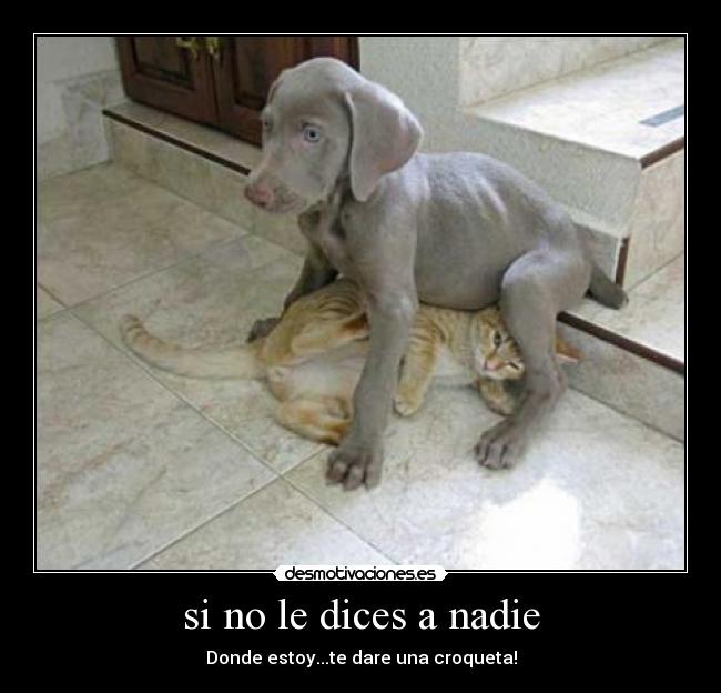 si no le dices a nadie - Donde estoy...te dare una croqueta!