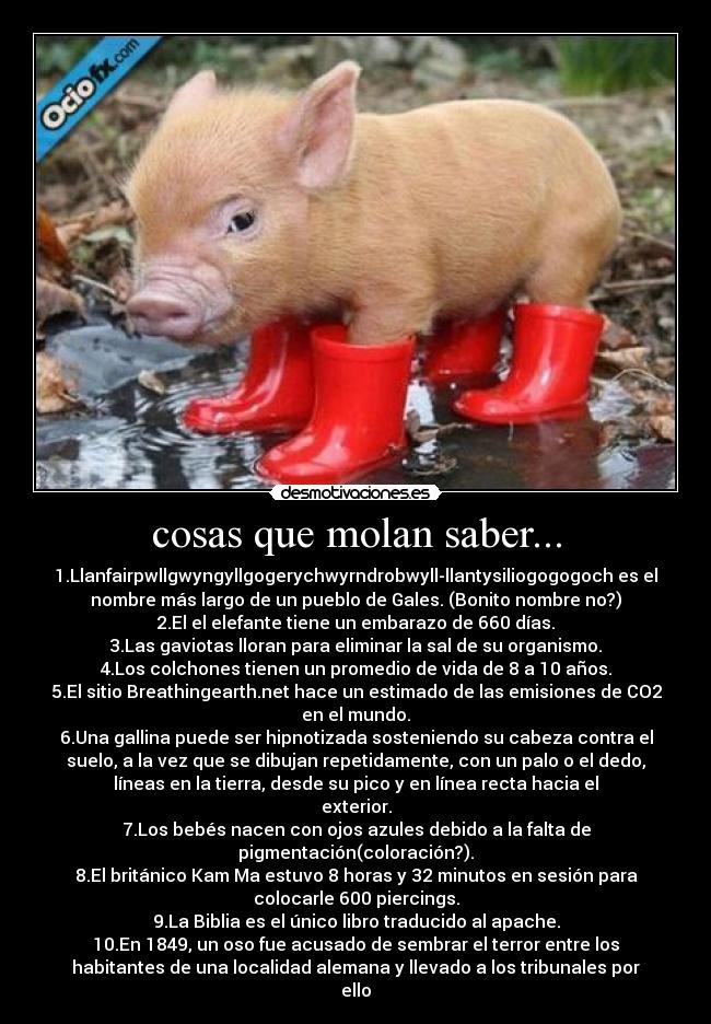 cosas que molan saber... -