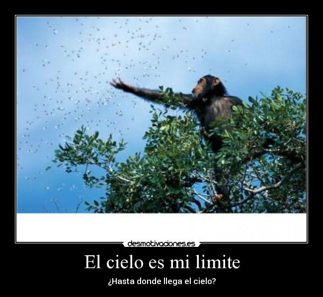 El cielo es mi limite -