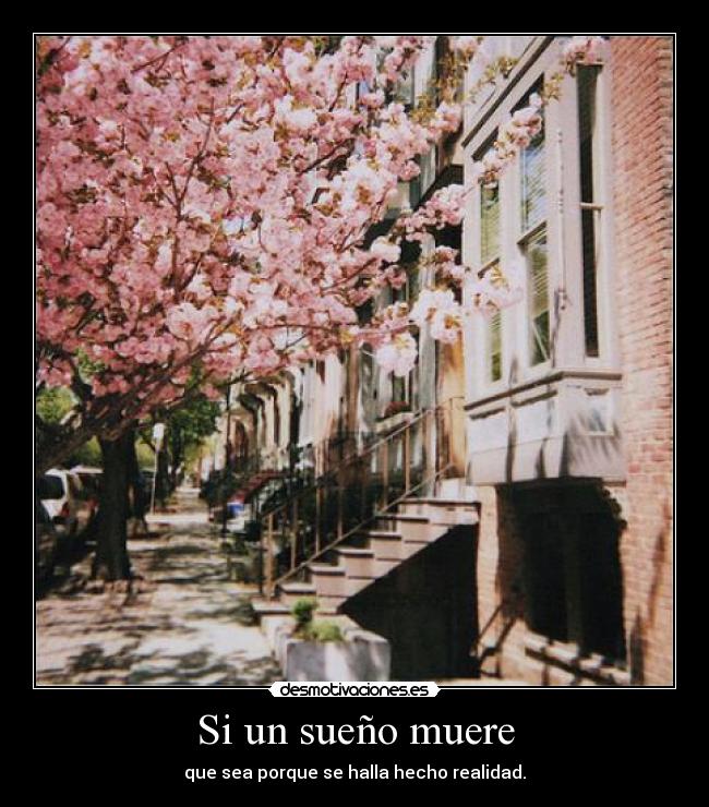 Si un sueño muere - 