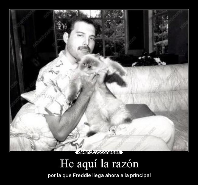 He aquí la razón - por la que Freddie llega ahora a la principal