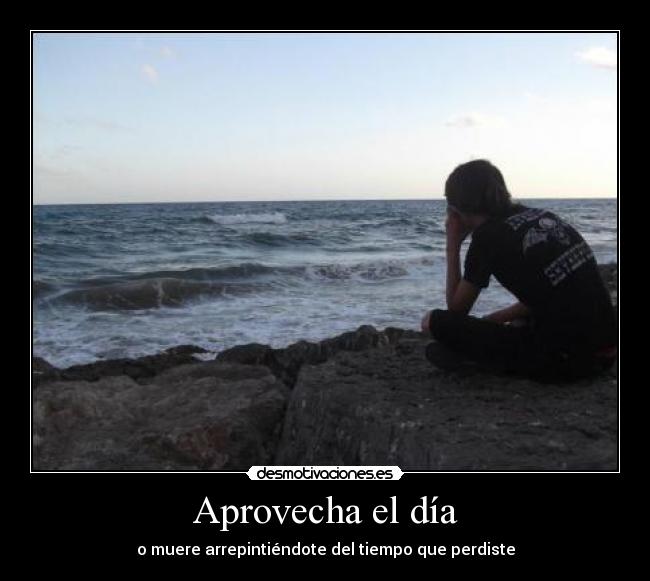 Aprovecha el día -