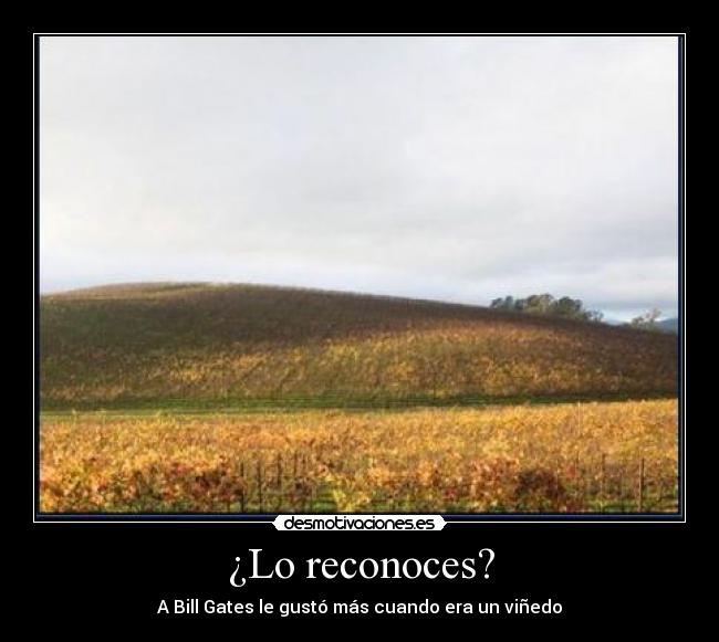¿Lo reconoces? - 