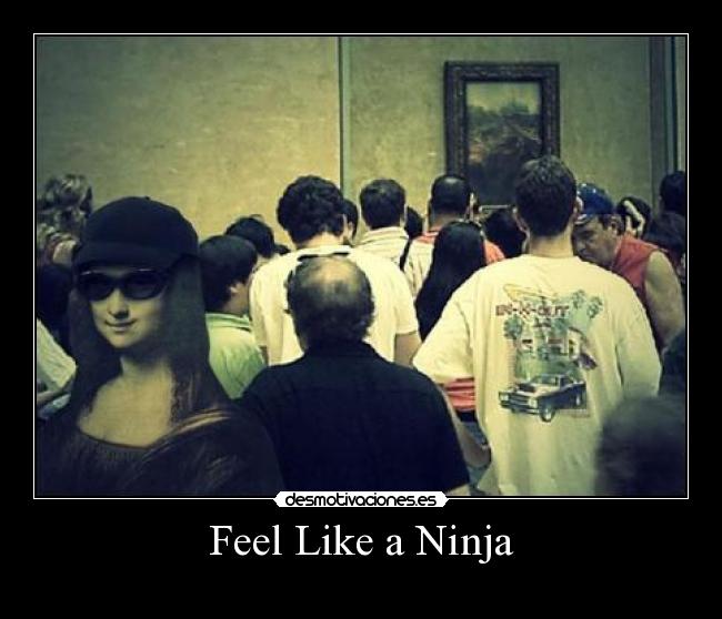 carteles feel like ninja desmotivaciones