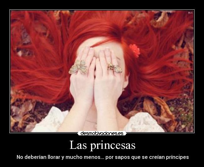 carteles princesas desmotivaciones