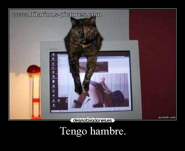 Tengo hambre. - 