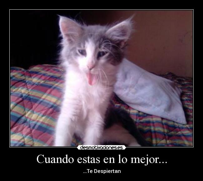 carteles durmiendo desmotivaciones