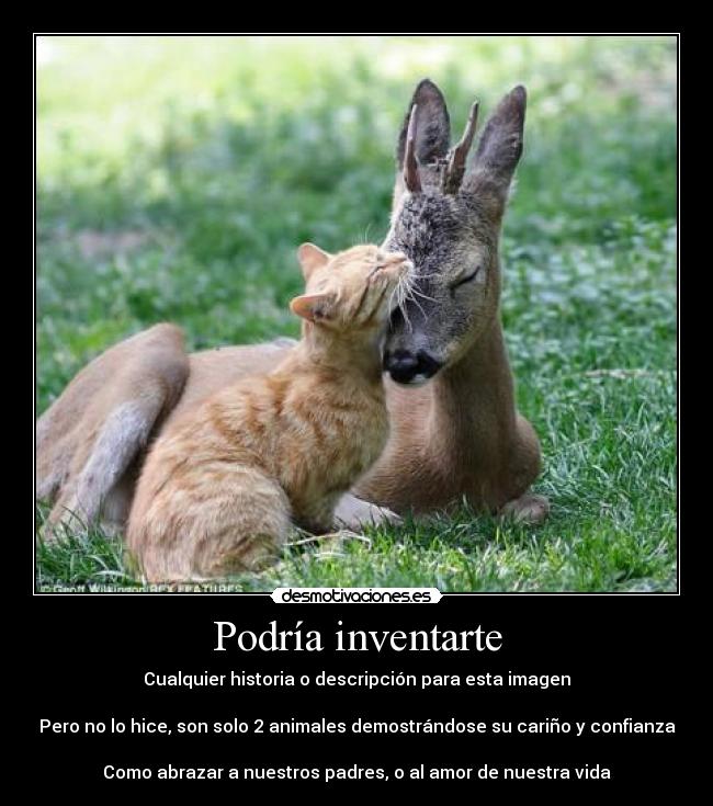 Podría inventarte - 