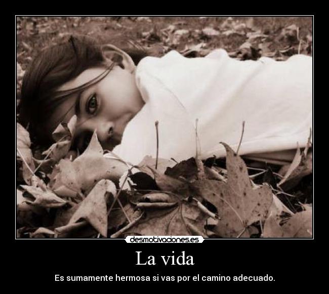 La vida - Es sumamente hermosa si vas por el camino adecuado.