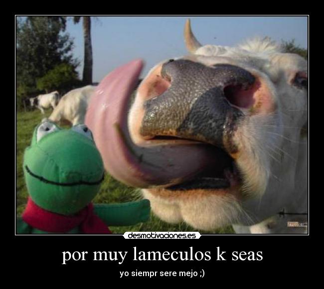 por muy lameculos k seas -