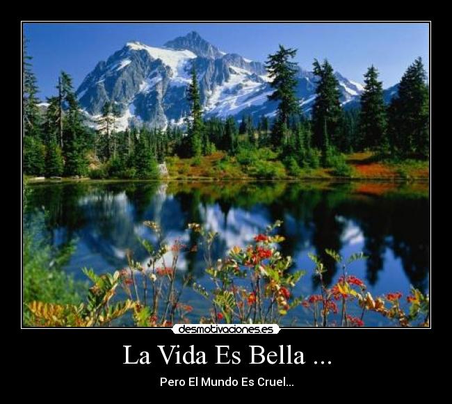La Vida Es Bella ... - Pero El Mundo Es Cruel...