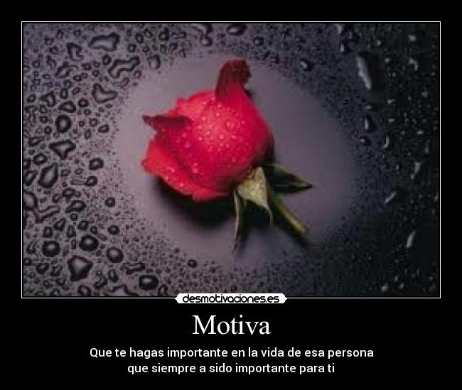Motiva - Que te hagas importante en la vida de esa persona
 que siempre a sido importante para ti 
