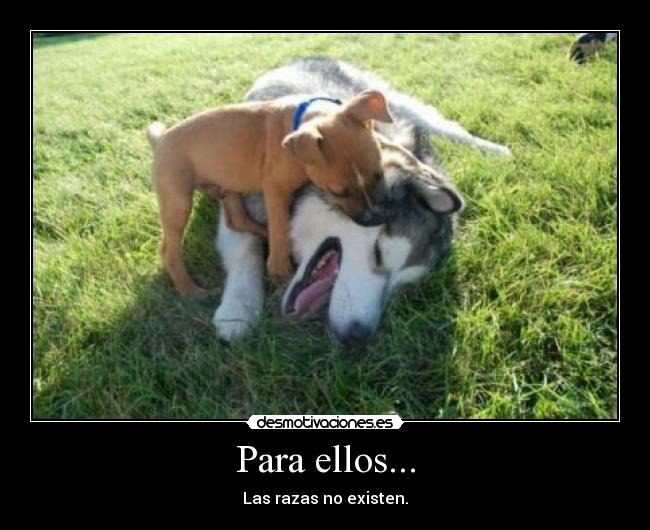 Para ellos... - 