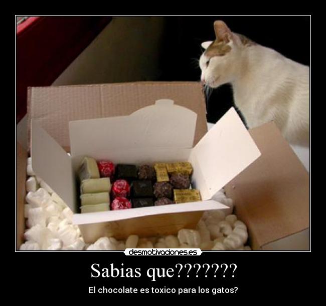 Sabias que??????? -