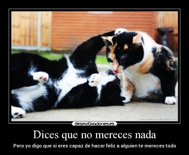 carteles _isma_ que esta enamorado desmotivaciones