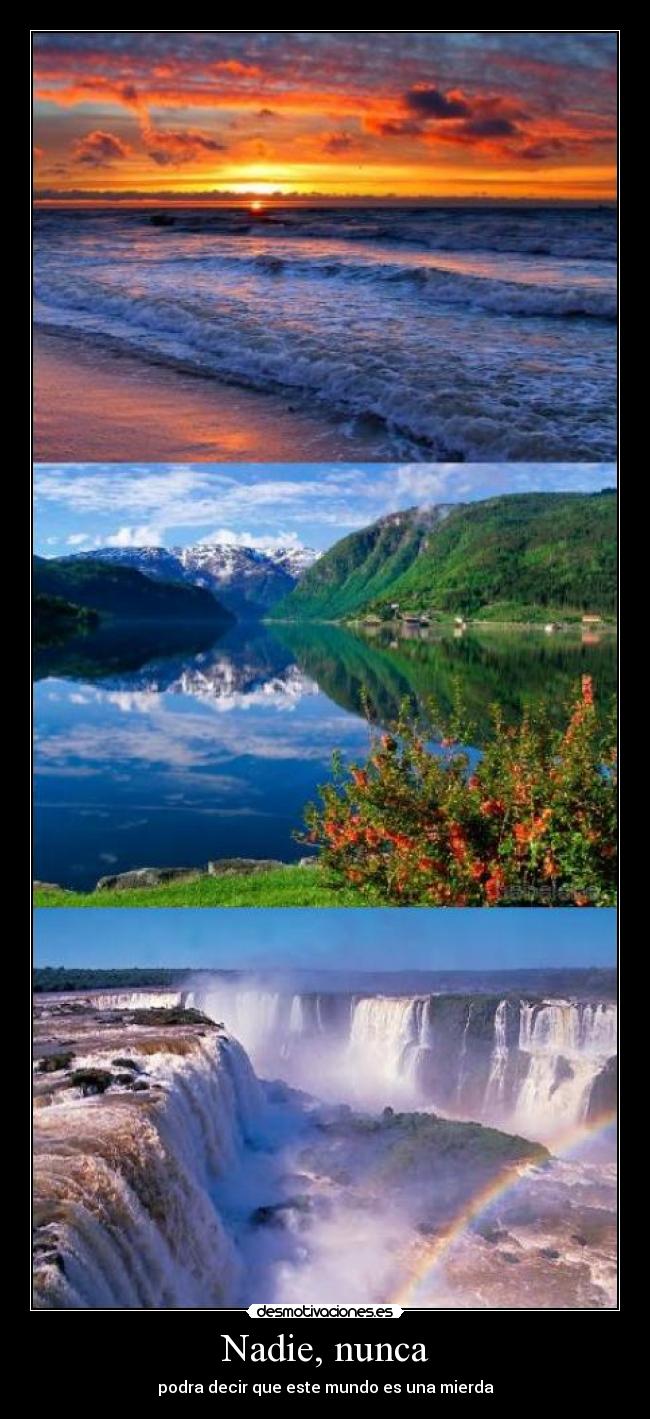 carteles desmotivaciones