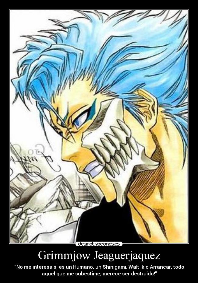 carteles grimmjow bleach arrancar privaron espada desmotivaciones